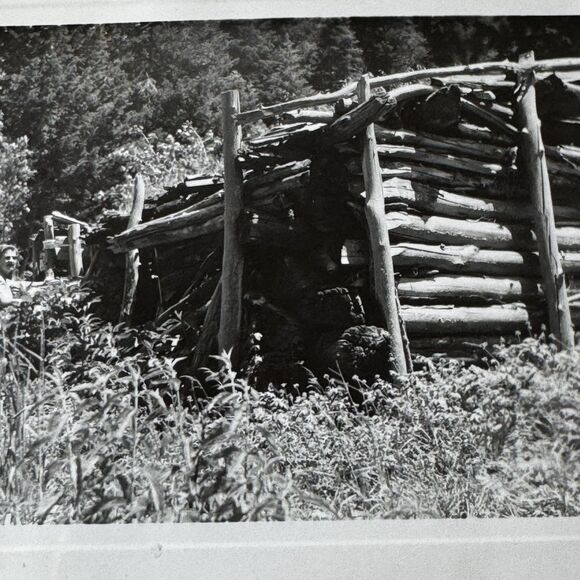 Willow Canyon Stansbury Mountains Original 1944 Photographs Tooele Miner’s Shack - Picture 4 of 12